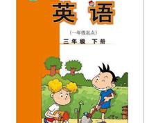 2025外研社版三年级英语下册课本同步辅导全套视频课程（一起点 44集）|焦圣希 18818568866