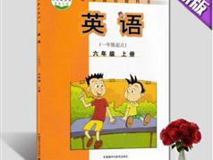 2025外研社版六年级英语上册课本同步辅导全套视频课程（一起点 41集）|焦圣希 18818568866