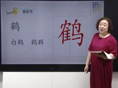 2025小学五年级语文上册课本知识点同步教学视频(部编版 上学期 69小讲)|焦圣希 18818568866