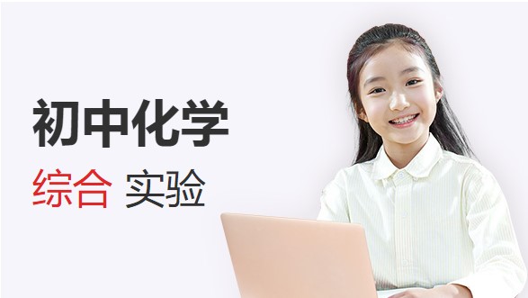 2025初中化学综合实验【6讲】