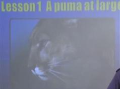 2025《跟john老师学新概念英语3重点知识》教学经典视频