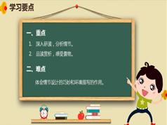 2025 |部编版初二语文下册课本同步网课视频(八年级 下学期 56讲)