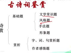 2025最新版语文暑假综合训练精讲13集附课程讲义（有道 董老师）