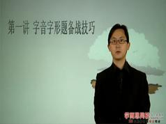 2025高考语文基础知识考点题目零失分训练教学视频(刘老师5大讲)