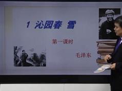 2025部编版九年级(初三)语文上册课本同步辅导全套视频课程（56集）