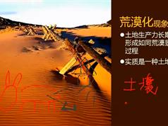 2025高三区域地理在线课程系统班_同步课本在线学习