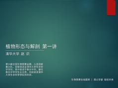 2025高中生物竞赛课植物形态与解剖知识点题库讲解教学视频(赵识 3讲)