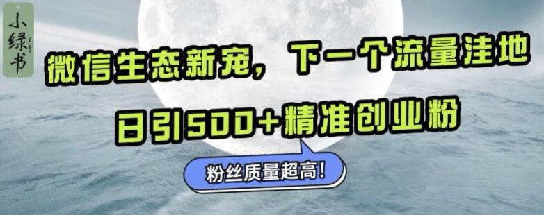 微信生态新宠小绿书：下一个流量洼地，日引500+精准创业粉，粉丝质量超高【焦圣希18818568866】