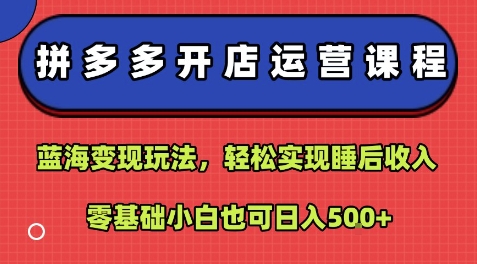 拼多多开店运营课程：蓝海变现玩法，轻松实现睡后收入，零基础小白也可日入5张