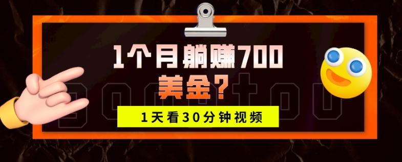 1天看30分钟视频，1个月躺赚700美金？