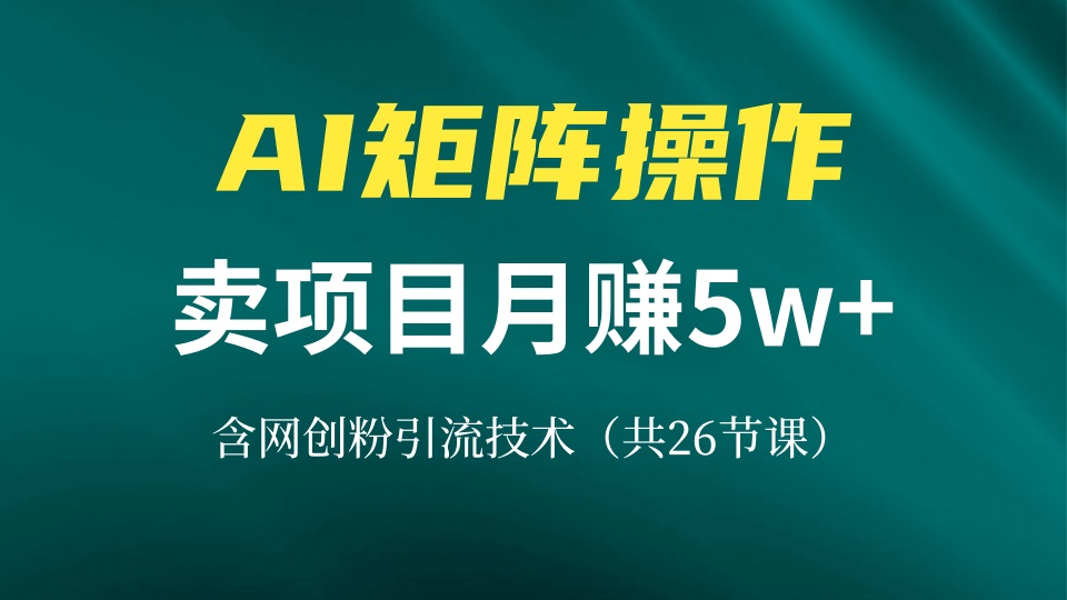 网创IP打造课，借助AI卖项目月赚5万+，含引流技术(共26节课【焦圣希18818568866】