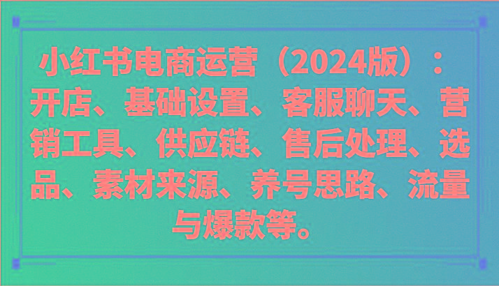 小红书电商运营(2024版)：开店、设置、供应链、选品、素材、养号、流量与爆款等