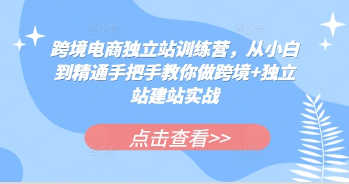 跨境电商独立站训练营，从小白到精通手把手教你做跨境+独立站建站实战【焦圣希18818568866】