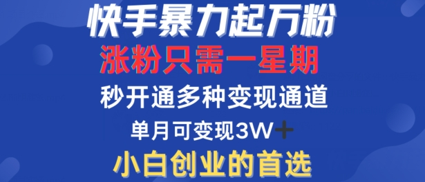 快手暴力起万粉，涨粉只需一星期，多种变现模式，直接秒开万合，单月变现过W【项目拆解】【焦圣希18818568866】