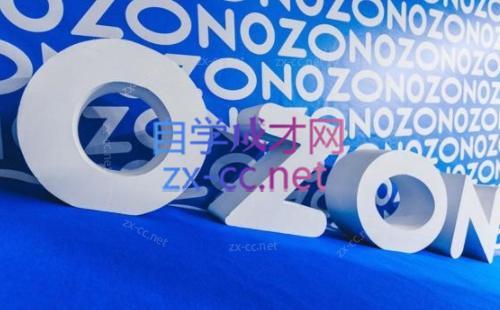 森哥·出海俄罗斯电商实操(2024)