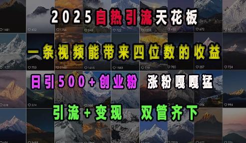 2025自热引流天花板，一条视频能带来四位数的收益，引流+变现双管齐下，日引500+创业粉，涨粉嘎嘎猛【焦圣希18818568866】