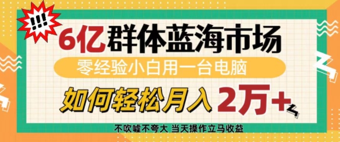 6亿群体蓝海市场，零经验小白用一台电脑，如何轻松月入过w【揭秘】【焦圣希18818568866】