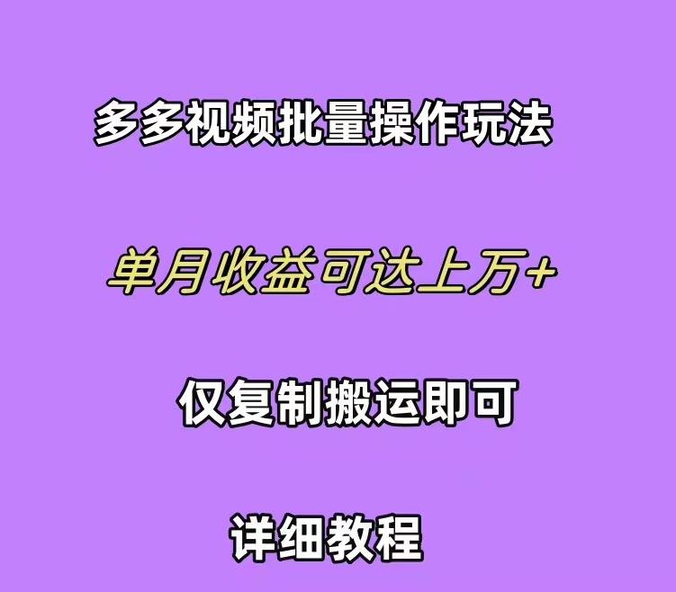 (10029期)拼多多视频带货快速过爆款选品教程 每天轻轻松松赚取三位数佣金 小白必…