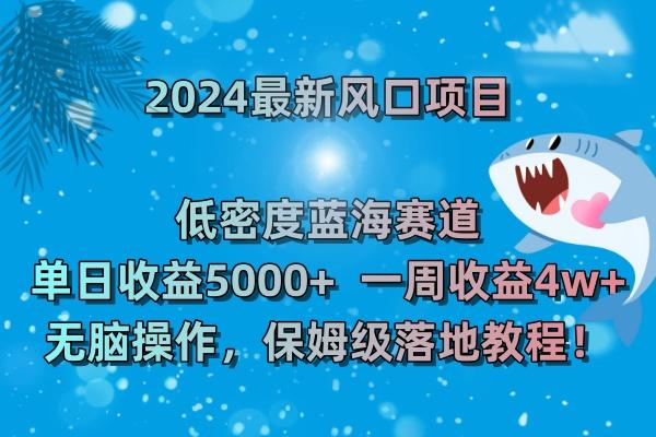 (8545期)2024最新风口项目 低密度蓝海赛道，日收益5000+周收益4w+ 无脑操作，保…