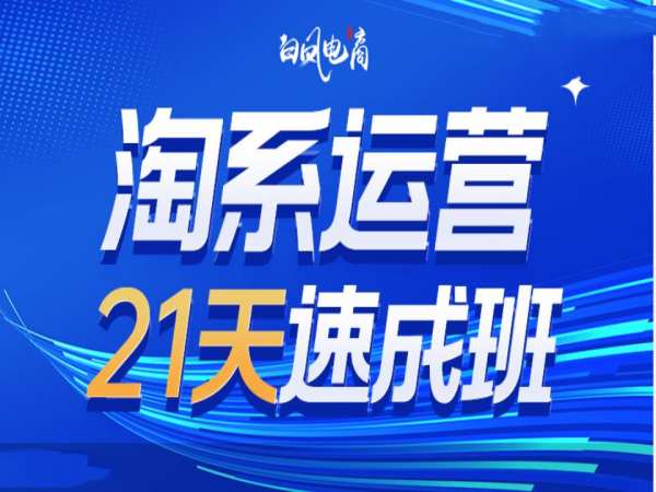淘系运营21天速成班35期，年前最后一波和2025方向【焦圣希18818568866】