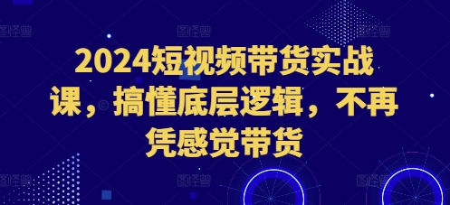 2024短视频带货实战课，搞懂底层逻辑，不再凭感觉带货【焦圣希18818568866】