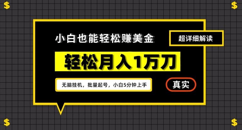 谷歌看广告撸美金2.0,无脑挂机,多号操作,月入1万刀【揭秘】