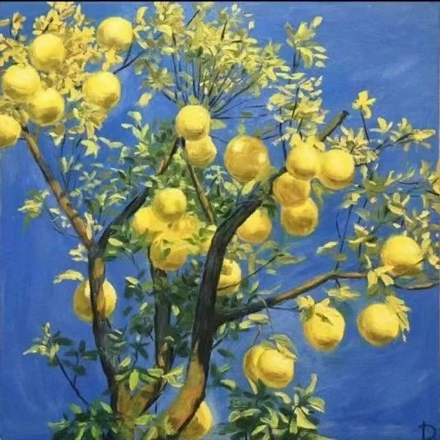 大柚子笔记 2024柚子投资课堂系统课程视频+笔记【焦圣希18818568866】