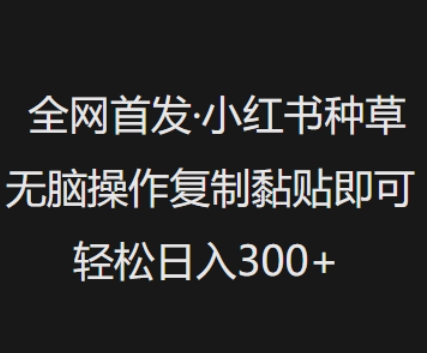 全网首发，小红书种草无脑操作，复制黏贴即可，轻松日入3张【焦圣希18818568866】