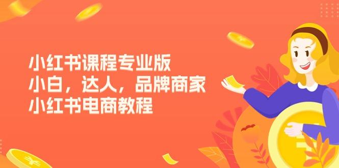 小红书课程专业版，小白，达人，品牌商家，小红书电商教程(15节