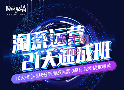 淘系运营21天速成班(更新24年5月)